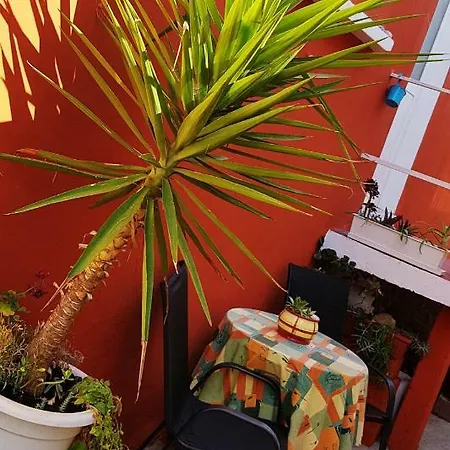 Apartman Lu * Vela Luka